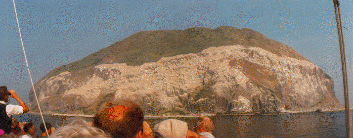 S-ELSIA.GIF