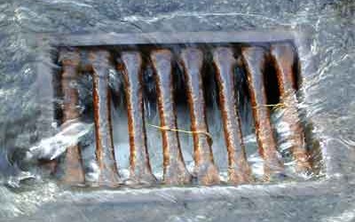 With fall here, the tree leaves are starting to fall and will ultimately cause our storm drains to clog and streets to flood. Why not adopt a nearby storm drain...