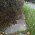 With the growing season here we now have many sidewalk and alleys with vegetation overgrowth issues that can and should be taken care of by you. This is not just...