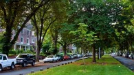 RPZ Zone 6 Public Hearing: Game Day Parking RPZ Zone 6 Public Hearing on Wednesday, May 29, 2013, 6:30 p.m. to 8:00 p.m. at the University Lutheran Church You should have received a flyer from SDOT in the mail...